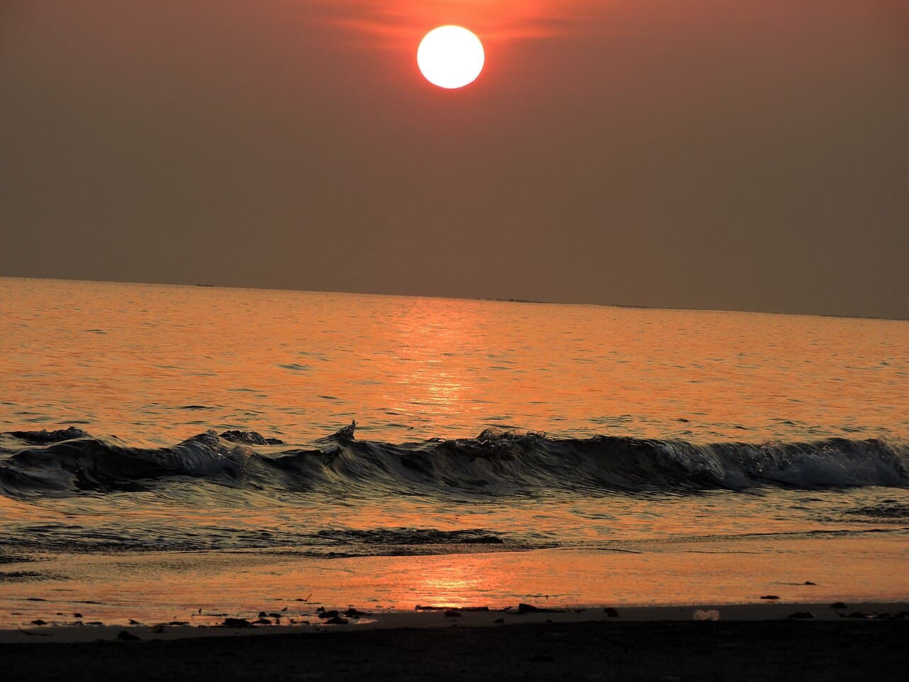 Havelock (Andaman), India